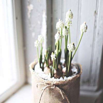 皇冠·app(中国)下载官方版