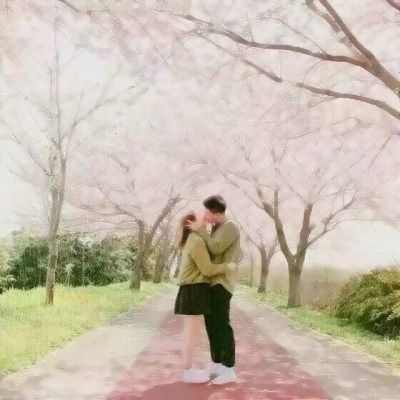 诺亚体育app下载安装手机版最新截图